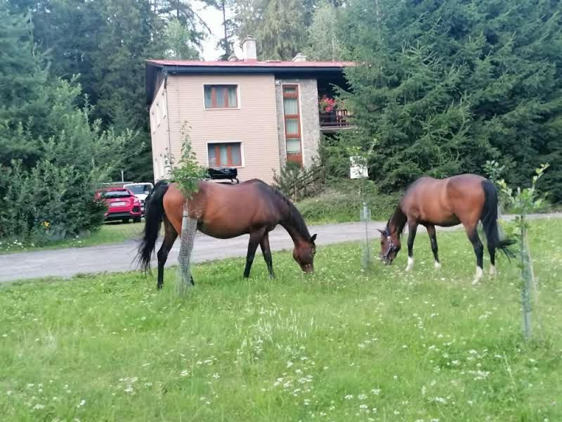 horská chata Žiaranka Liptovský Mikuláš Exterior foto